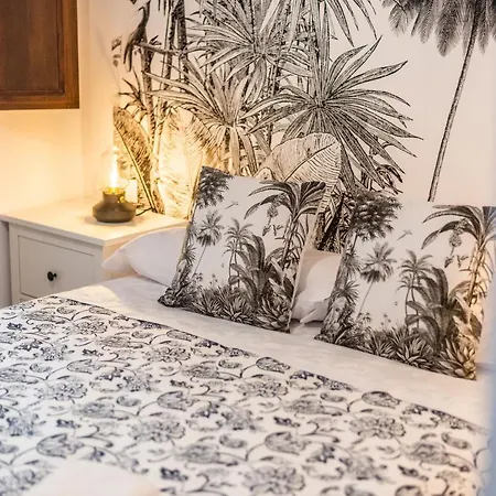 Tuguest Concepcion Appartement *